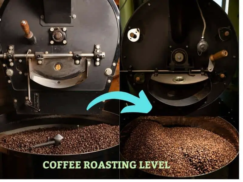 Coffee Roast Level: Which One is Better?